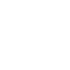 Cockfight Icon