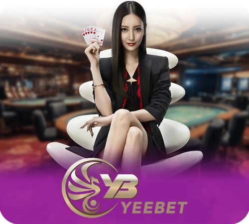 livecasino_yee_cover